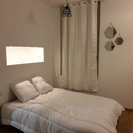 Studio Maillol Centre Historique 佩皮尼昂 外观 照片